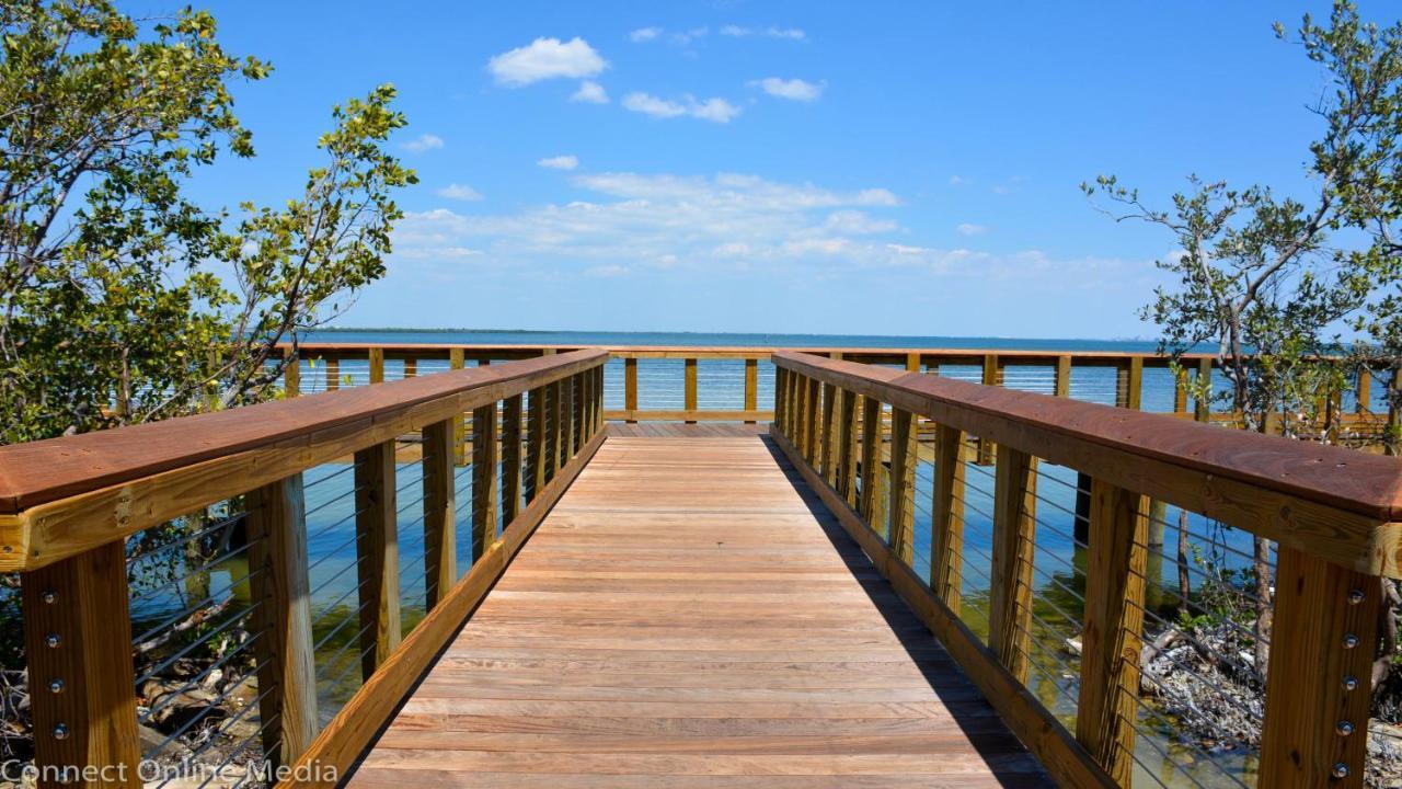 Candlewood Suites - Safety Harbor By Ihg Zewnętrze zdjęcie